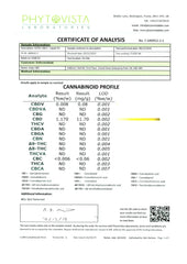 214371484.webp