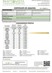 214393151.webp